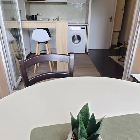 Lägenhet Chez Camille Cosy, Parking Gratuit Terrasse Lourdes