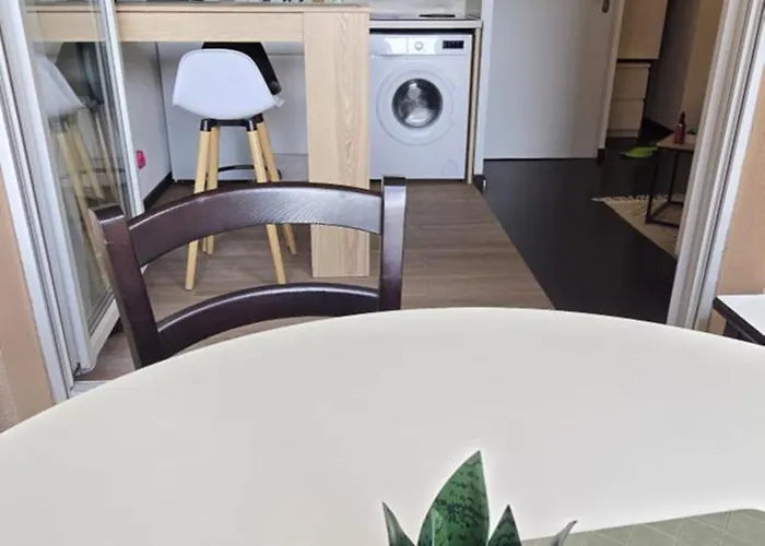 Apartamento Chez Camille Cosy, Parking Gratuit Terrasse Lourdes